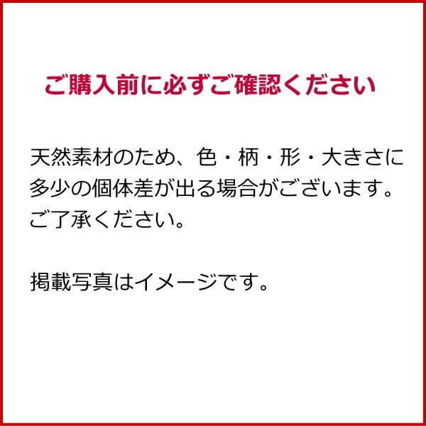 ループタイ ブランド mila schon ミラショーン 金蝶貝 アワビ貝 全2色 日本製 ポーラータイ