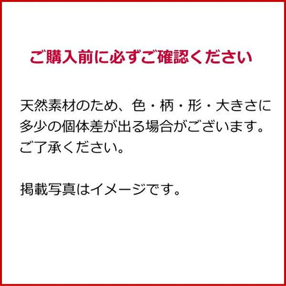 ループタイ ブランド mila schon ミラショーン 金蝶貝 アワビ貝 全2色 日本製 ポーラータイ