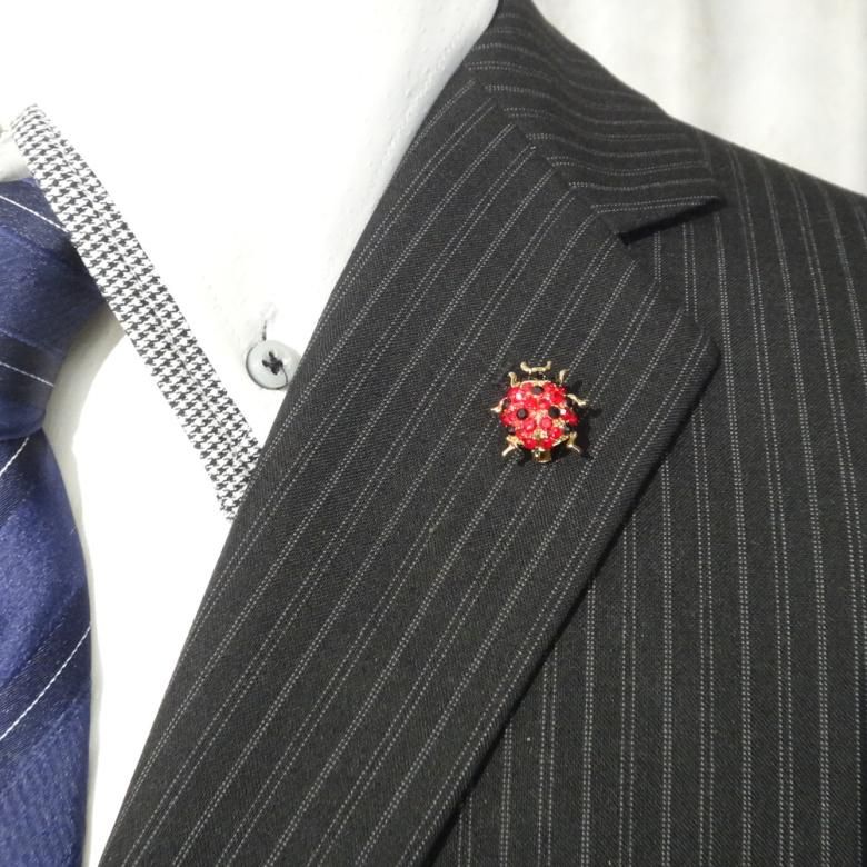 ナナホシテントウムシ 七星 てんとうむし 天道虫 てんとう虫 キラキストーン ラペルピン ブローチ